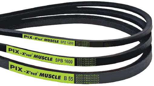 PIX Muscle Belt - Industrial V-Belts