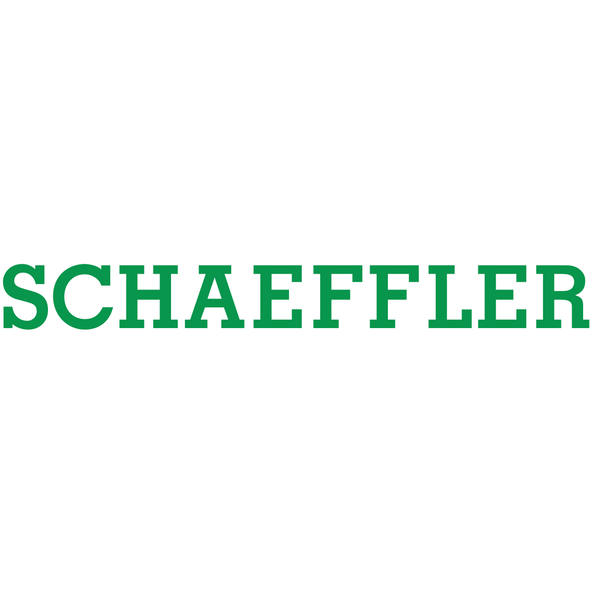 Introducing the Schaeffler Group to Chain & Drives
