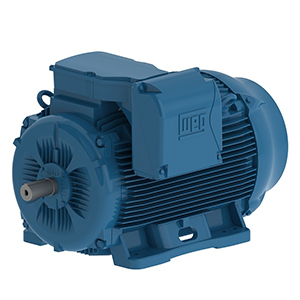 WEG - AC Electric Motor - W22