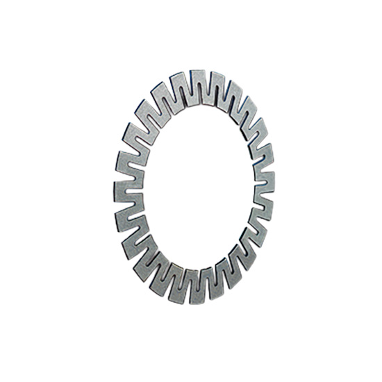 Ringspann Star Spring Washers