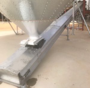Feedlot Grain Conveying System